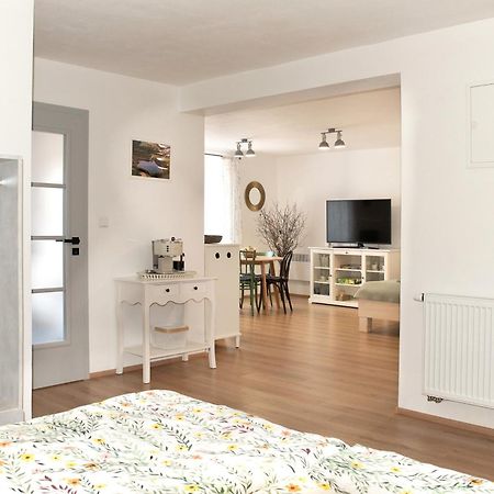 Apartman Mloci Udoli • Podyji ズノイモ エクステリア 写真